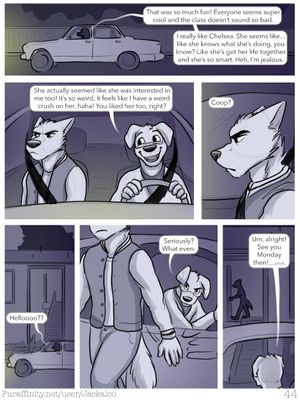 Page 43
