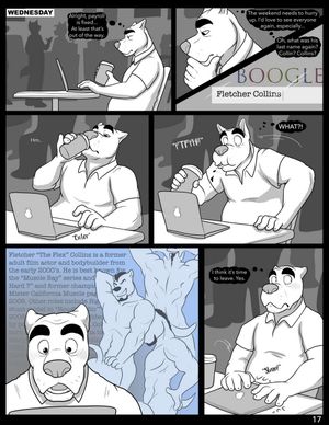 Page 17