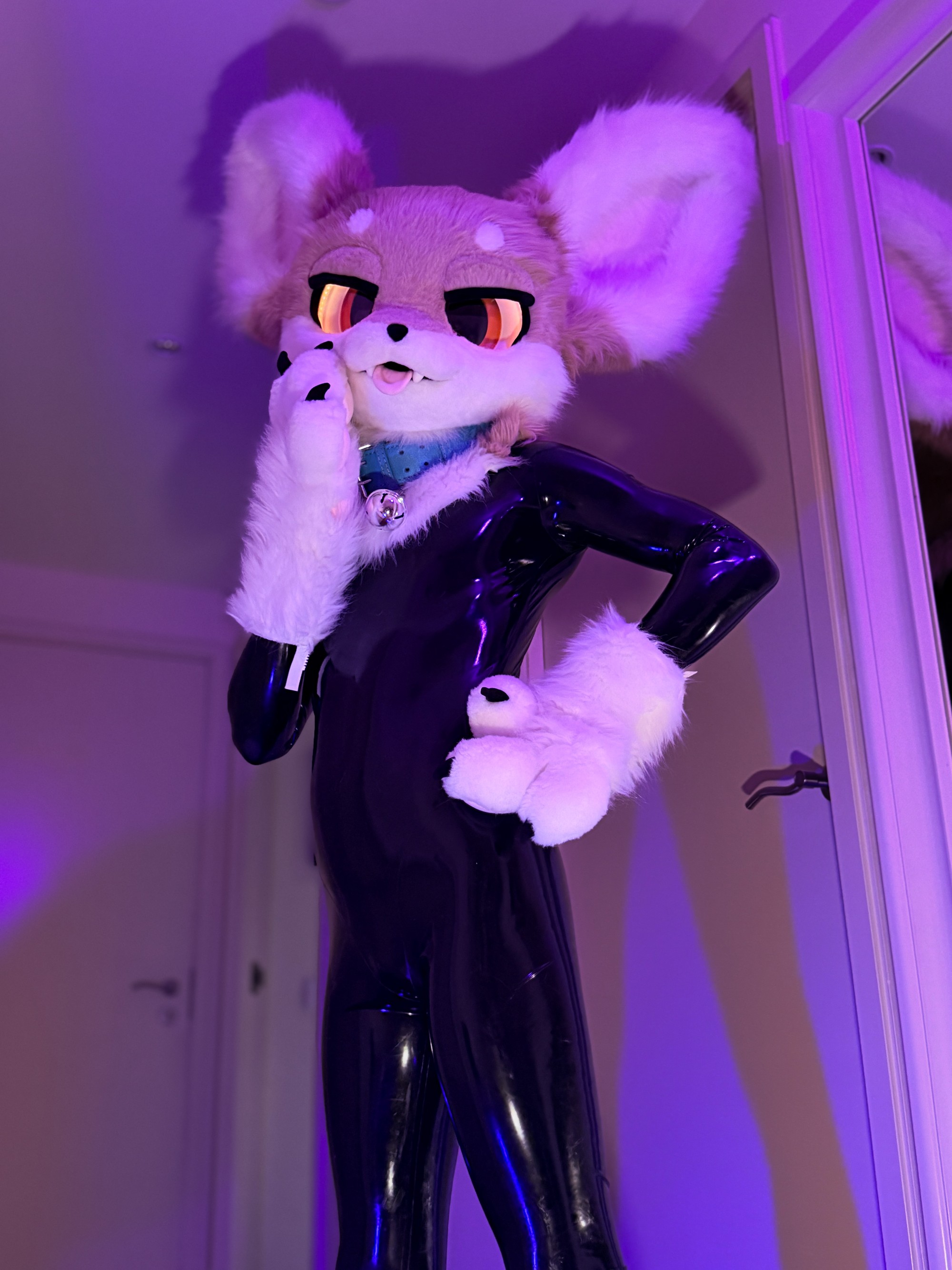 Melonlatex-6.jpg