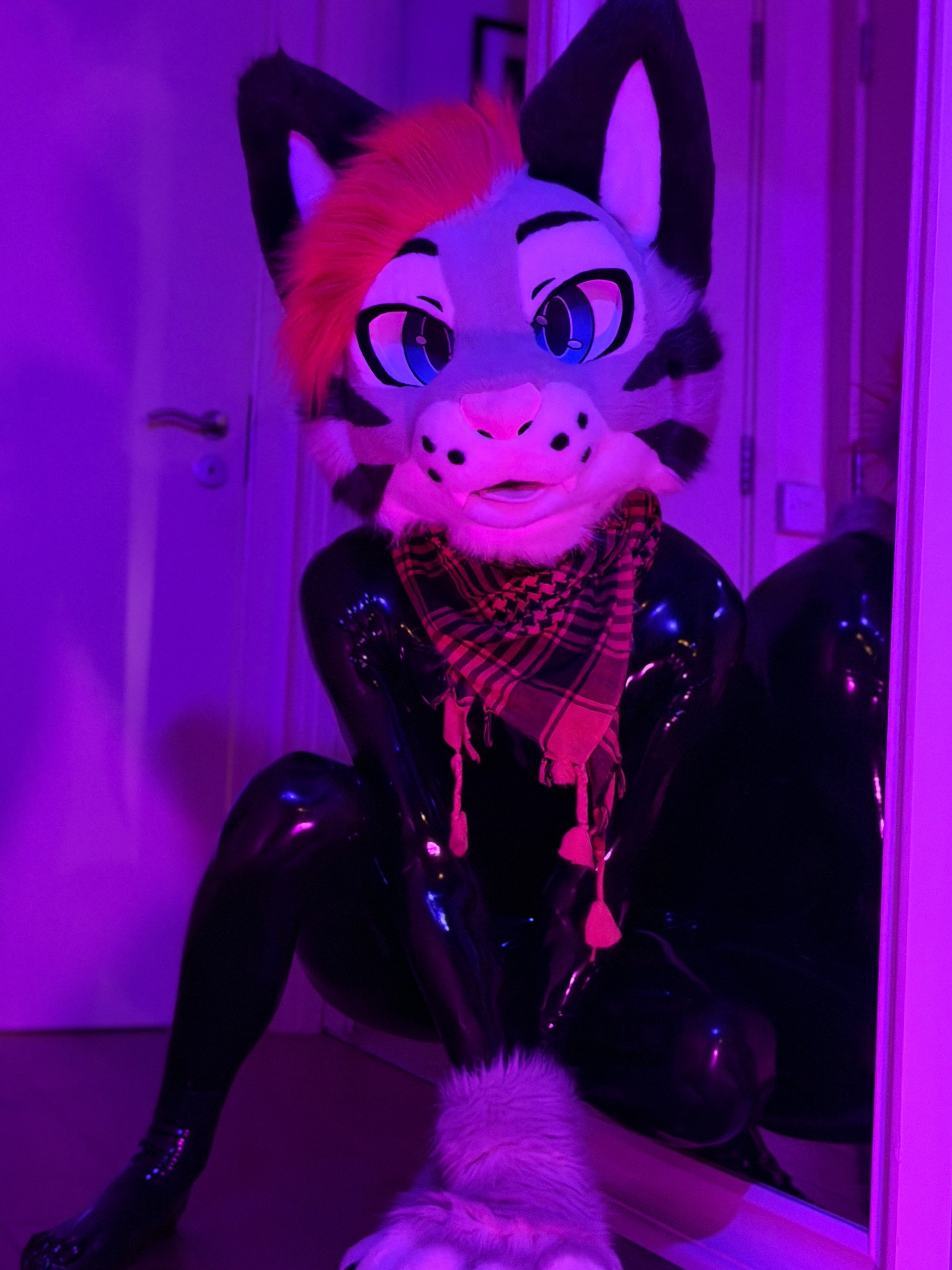 waffleslatex-take2-11.jpg
