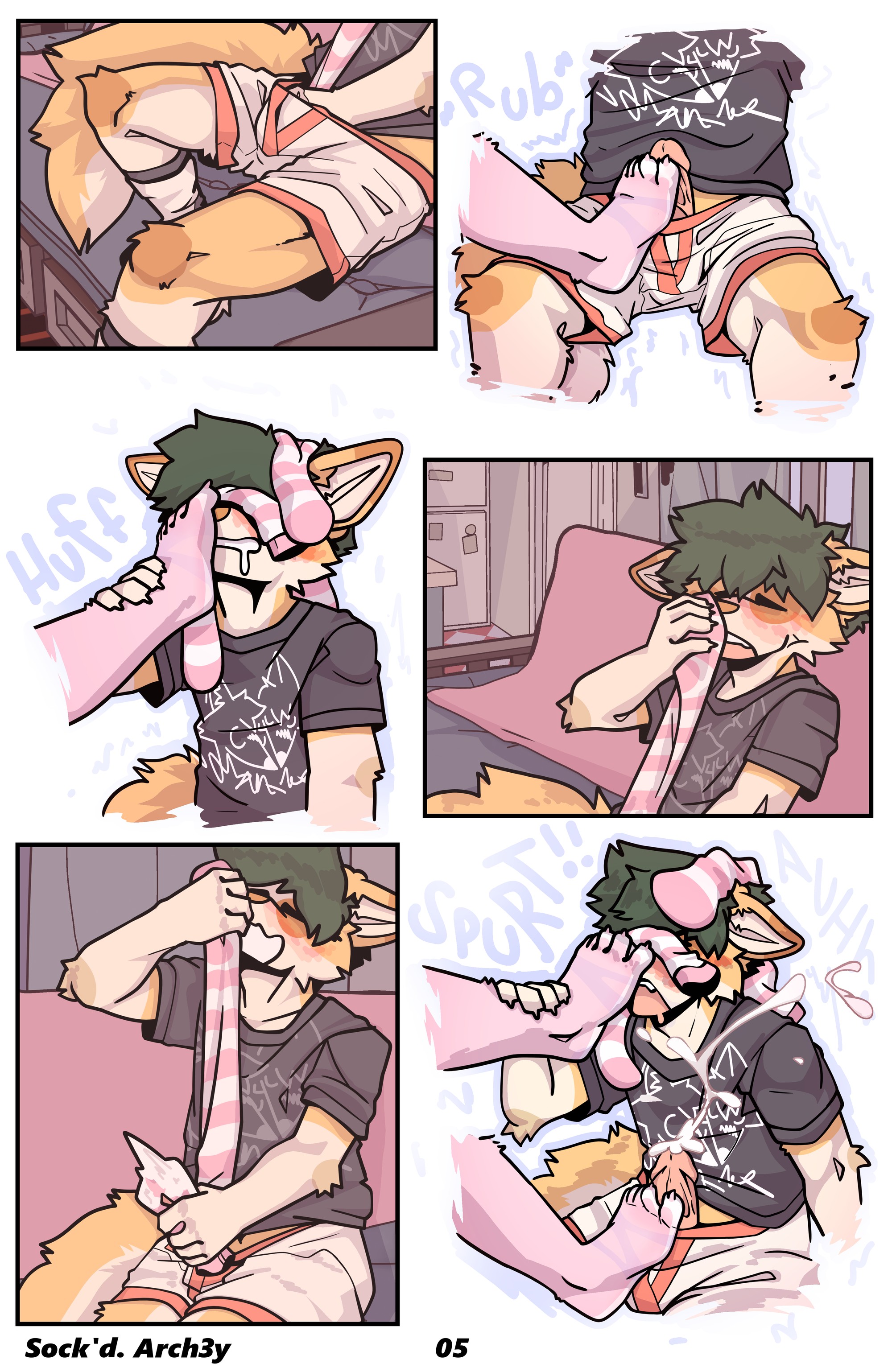 005.png
