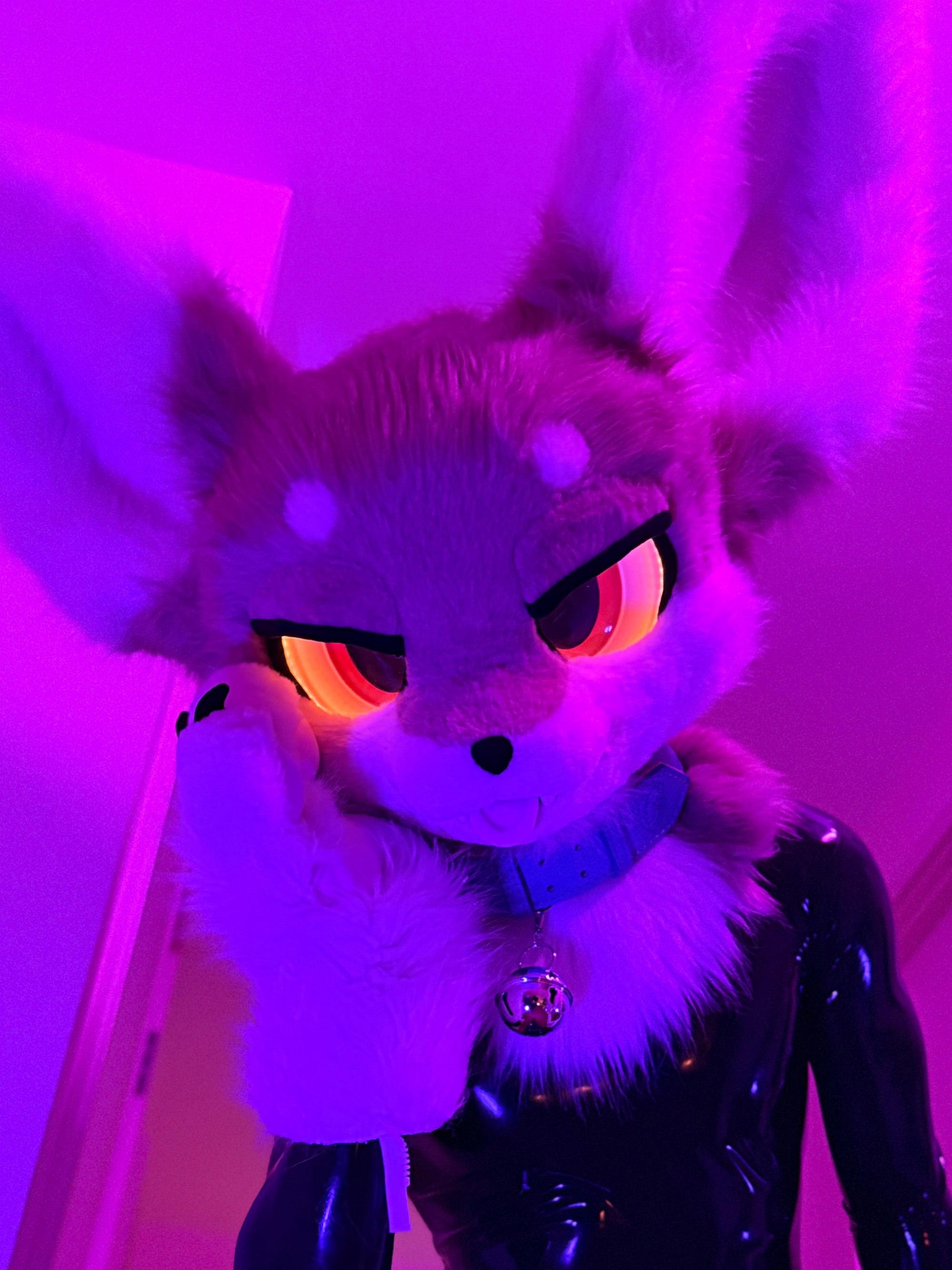 Melonlatex-5.jpg